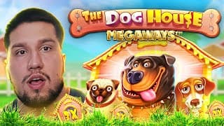 PELATAAN KAIKKI DOG HOUSE SLOTIT!
